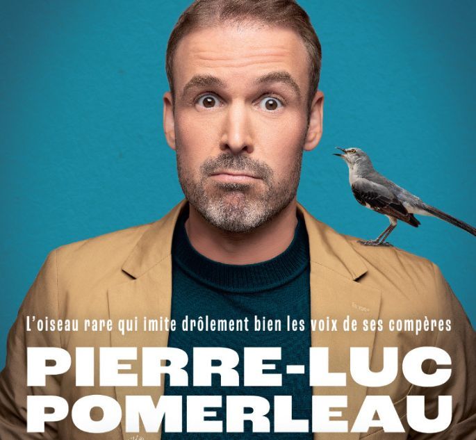 PIERRE-LUC POMERLEAU, Moqueur polyglotte